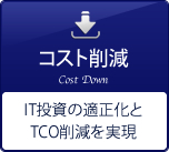 コスト削減 IT投資の適正化とTCO削減を実現