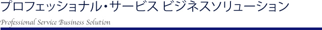 プロフェッショナル・サービスビジネスソリューション